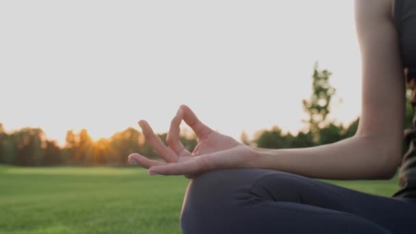Hände eines Mädchens in namaste mudra-Pose beim Meditieren auf grünem Gras bei Sonnenuntergang. - Filmmaterial, Video
