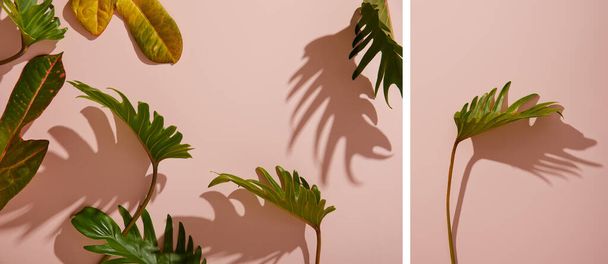 collage of fresh tropical green leaves on pink background - Фото, зображення