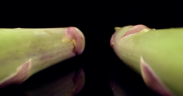 Φρέσκα σπαράγγια πράσινα μακριά λαχανικά σούπερ μακροεντολή από κοντά - Πλάνα, βίντεο
