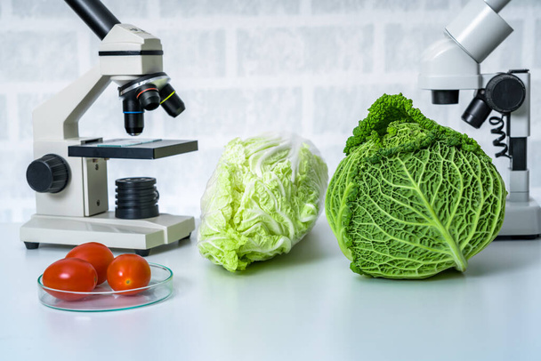 Genetic breeding of vegetables in Laboratory.  Analyzing food quality. - Фото, изображение