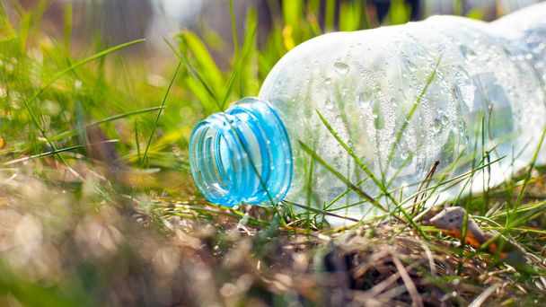 Plastik şişe, ormanda bir ağacın altındaki çimlerin üzerinde güneş ışığının altında yatıyor. Çevre kirliliği, doğal çevre - Fotoğraf, Görsel