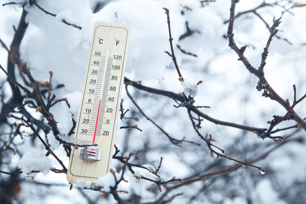 Ağaçta termometre var. Sıcaklık, Kış - Fotoğraf, Görsel