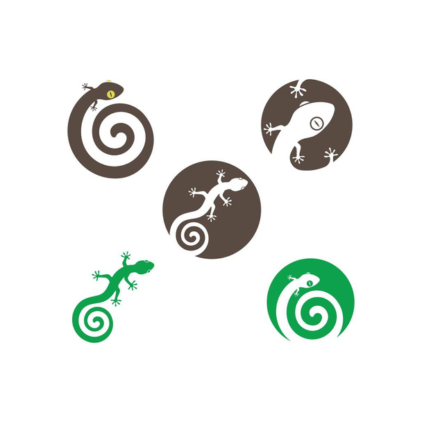Gecko Logo Vektor Symbol Illustration Vorlage - Vektor, Bild