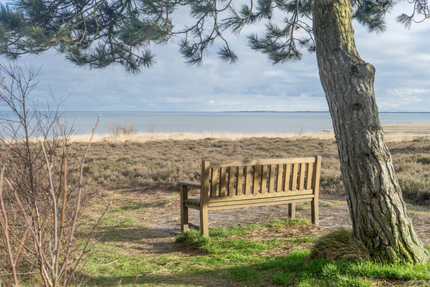 Dřevěná lavička pod borovicí na bahnitém rovině na ostrově Sylt - Fotografie, Obrázek