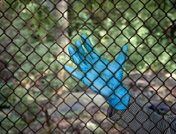 Main gantée sur la clôture
. - Photo, image