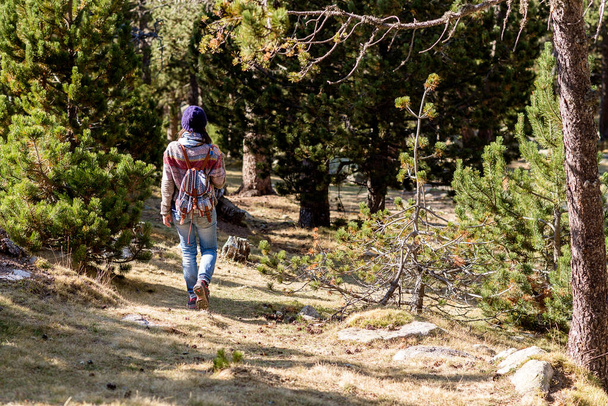 Rückansicht einer Backpacker-Frau, die auf dem Weg in den Wald geht - Foto, Bild