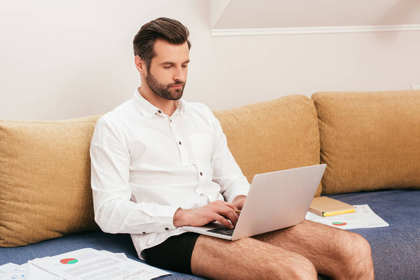 Teleworker in shirt and panties using laptop near papers on sofa in living room - Zdjęcie, obraz