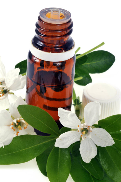 Bottle of essential oil of orange flowers close up on white background  - Photo, Image