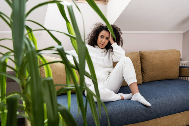 selective focus of young african american woman sitting on sofa near plant - Foto, Bild