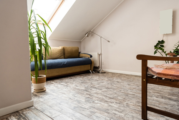zöld növény kanapé és padlólámpa közelében a nappaliban  - Fotó, kép
