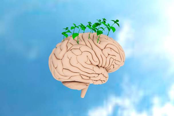 Plantas verdes brotando do cérebro no fundo do céu azul. Conceito de crescimento. Conceito de ecologia. Vista frontal
. - Foto, Imagem