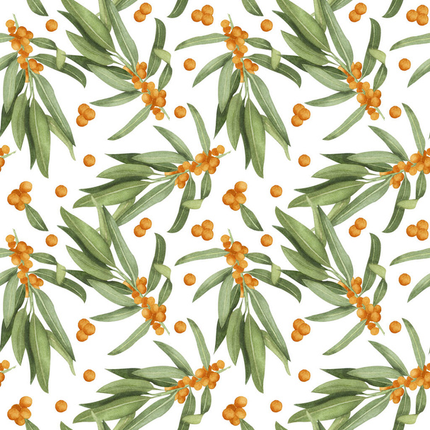 Watercolor seamless pattern with sea buckthorn berries and leaves. Honey herb repeten pattern on white backgroun. - Фото, изображение