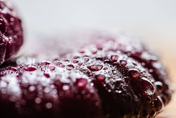 close up view of wet cut onion with water drops - Foto, immagini