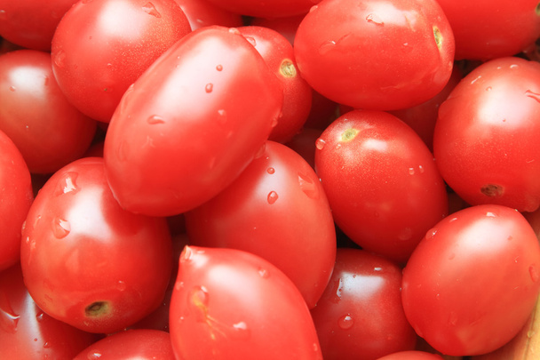 Tomato - Fotografie, Obrázek