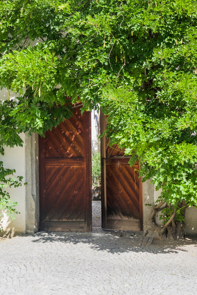 Дверь древнего белого замка с пышным растением для лазания
 - Фото, изображение