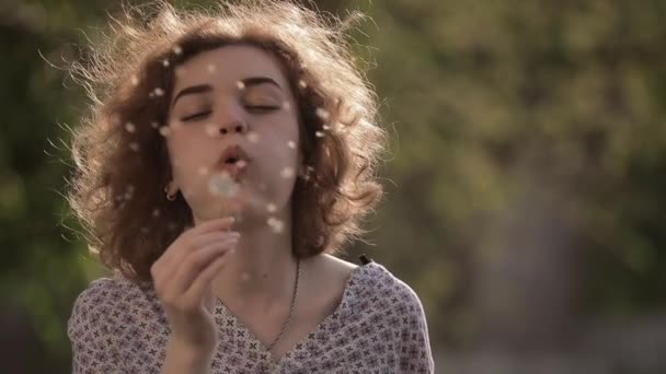 Beautiful curly hair woman blowing dandelion - Footage, Video