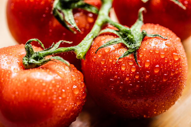 vista ravvicinata di pomodori rossi maturi freschi su ramo con gocce d'acqua
 - Foto, immagini
