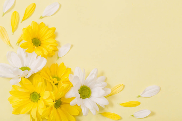 yellow and white chrysanthemum on yellow  paper background - Фото, изображение