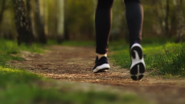Correr piernas femeninas en zapatillas de deporte en el bosque de cerca. Mujer corriendo en el bosque cámara lenta
 - Metraje, vídeo