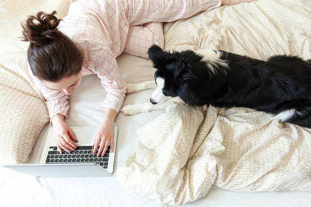 Mobiel kantoor thuis. Jonge vrouw in pyjama zit op bed met huisdier hond werken met behulp van laptop pc computer thuis. Lifestyle meisje studeert binnen. Quarantaineconcept voor freelance bedrijven - Foto, afbeelding
