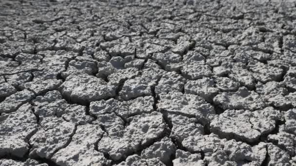 Desastre ecológico, dibujo de tierra seca - Metraje, vídeo