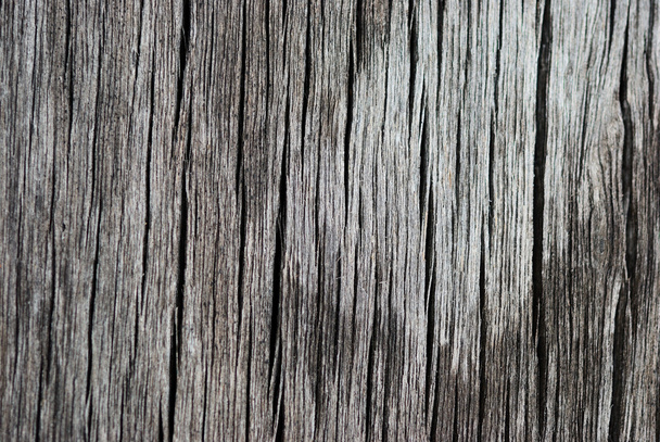 The old wood texture - Photo, image