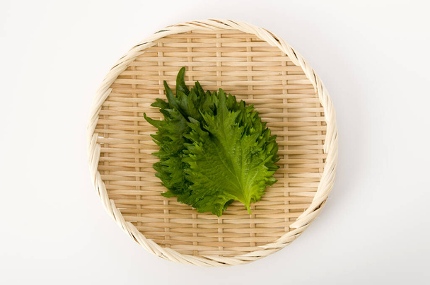 friss zöld shiso (perilla) vagy oba levél egy bambusz színező fehér alapon - Fotó, kép