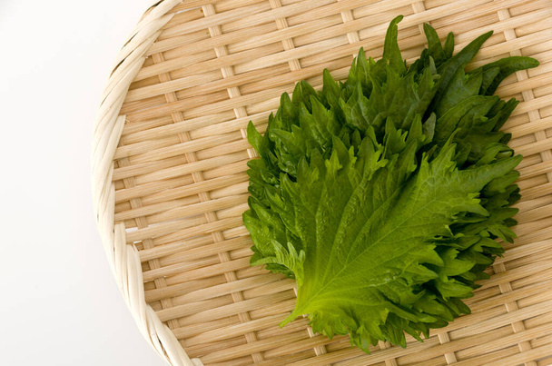 φρέσκο πράσινο shiso (perilla) ή φύλλα oba σε ένα μπαμπού σουρωτήρι σε λευκό φόντο - Φωτογραφία, εικόνα
