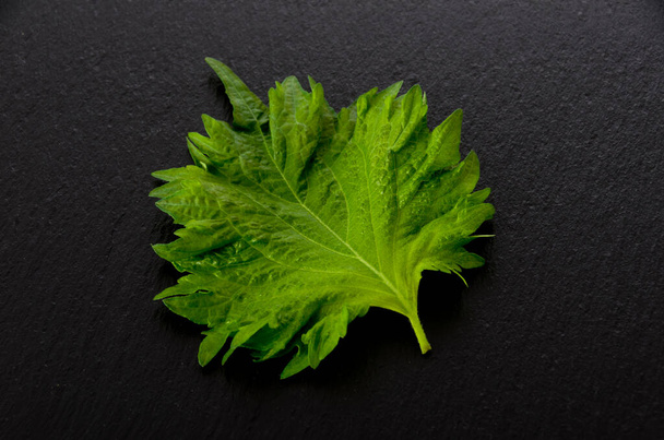 Zöld shiso (perilla) vagy oba fekete lemez (sötét kő háttér) - Fotó, kép