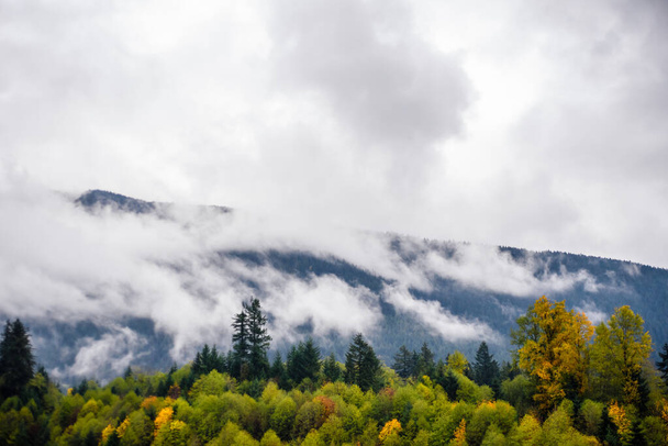 Nebel und Wolken bedecken Wald und Berge in British Columbia, Kanada. - Foto, Bild