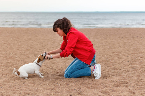 young girl in a red jacket and jeans plays a stick with her friend dog jack russell terrier on a sand beach near the sea - Zdjęcie, obraz