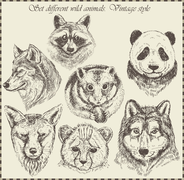 Different wild animals - Vector, Imagen