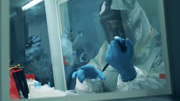 Um virologista usa pipeta enquanto trabalha com anticorpos covid-19
. - Filmagem, Vídeo