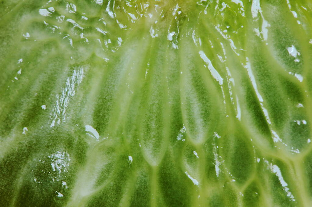 φέτα φρέσκο λεμόνι σε κοντινό πλάνο για φόντο - Φωτογραφία, εικόνα