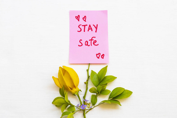 pysyä turvallinen viesti kortin käsiala keltaisia kukkia ylang ylang järjestely tasainen lay postikortti tyyli taustalla valkoinen
  - Valokuva, kuva