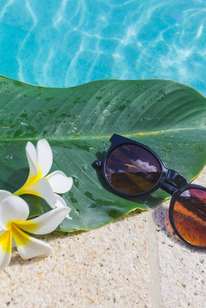 Folha verde, óculos de sol e flores brancas perto da borda da piscina
 - Foto, Imagem