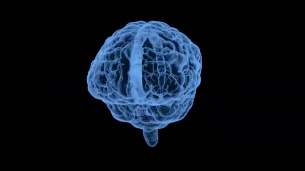 3D-s rendering x-ray emberi agy fekete háttér 4k animáció - Felvétel, videó
