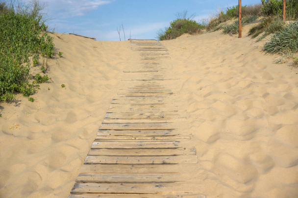 дошка прогулянка, що веде до пляжу на піску
 - Фото, зображення