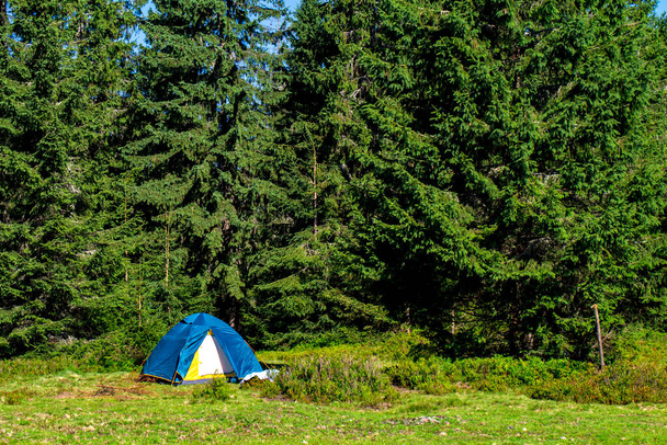 Montañas de carpa turística cerca del bosque. Tienda de campaña turística se encuentra en un claro en las montañas bajo abetos verdes
. - Foto, Imagen