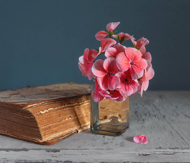 Still life with blooming geranium and old books. Vintage. Minimalism. - Photo, image