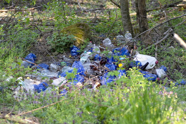 Мусорная свалка в лесу под деревьями. Куча мусора в лесу под деревьями. Загрязнение окружающей среды
.  - Фото, изображение