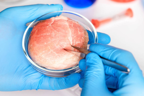 Synteettisen lihan tuotanto. Tuotteen soveltuvuuden tarkistaminen laboratoriossa. Keinotekoinen liha on tulevaisuuden ruokaa. Koeputkiliha. - Valokuva, kuva