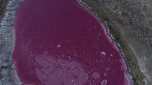 Aerial view of a pink lake found in Badain Jaran Desert in Alxa Right Banner, north China's Inner Mongolia autonomous region, 1 May 2020. - Footage, Video