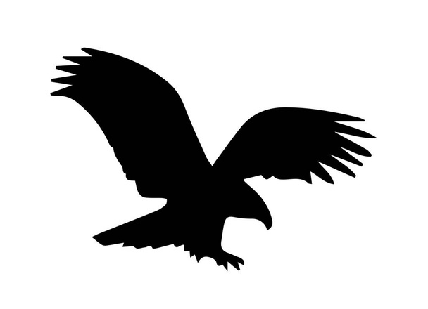 Eagle silhouette on white background. - Photo, Image