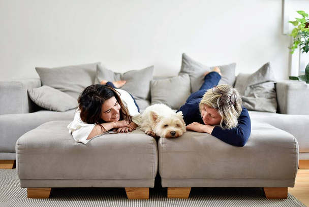  young and old woman talking together on a sofa and lying with a white terrier - Photo, Image