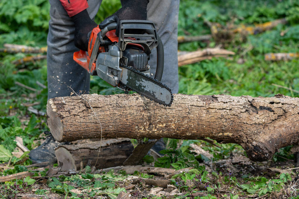Man works by chainsaw in forest. - Photo, Image