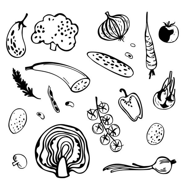 Handgezeichnetes stilisiertes Gemüse. Skizzenillustration.   - Vektor, Bild