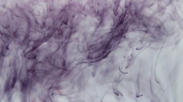 Wzór kropli fioletowego tuszu wpadających do wody - Materiał filmowy, wideo