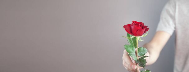 Caucasian man holding red rose flower. Space for your text - Foto, Bild