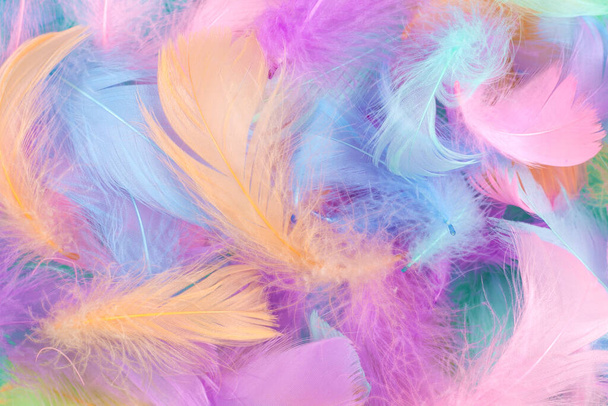 Colorful feather on mint background, top view.  - Fotó, kép